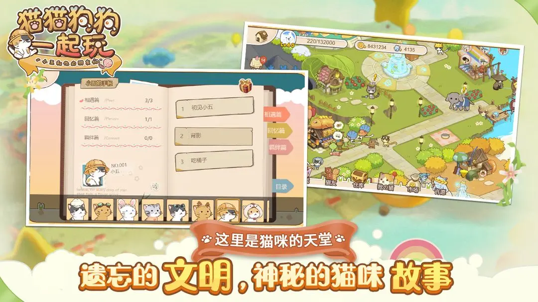 貓貓狗狗一起玩