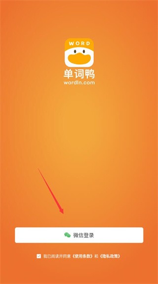 單詞鴨