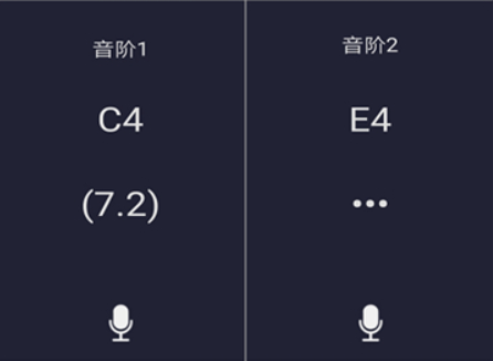 音調(diào)測(cè)控儀
