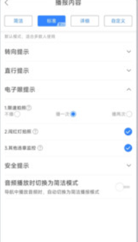語音實時衛(wèi)星導航