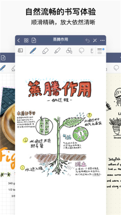 goodnotes軟件截圖2