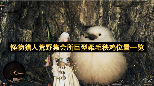怪物獵人荒野集會所巨型柔毛秧雞位置一覽