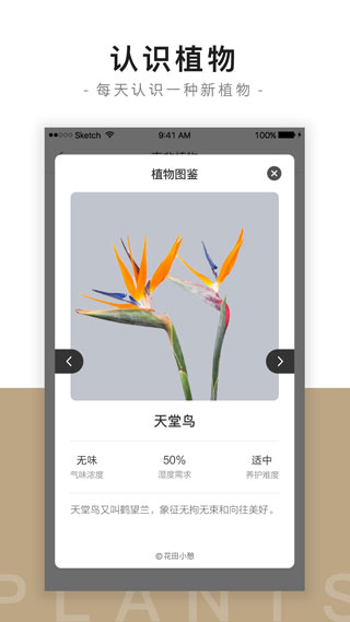 花田小憩截圖4