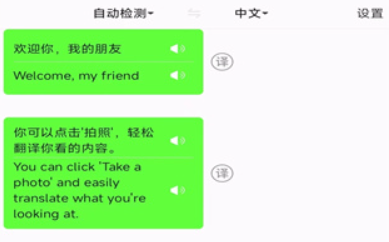 極致語(yǔ)言翻譯器