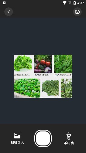 高效掃描助手