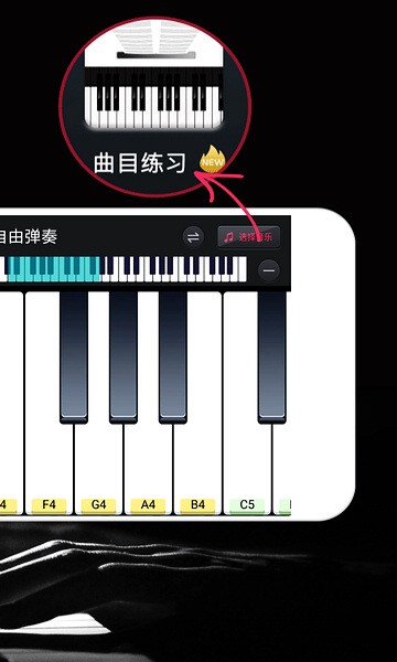 鋼琴鍵盤截圖2