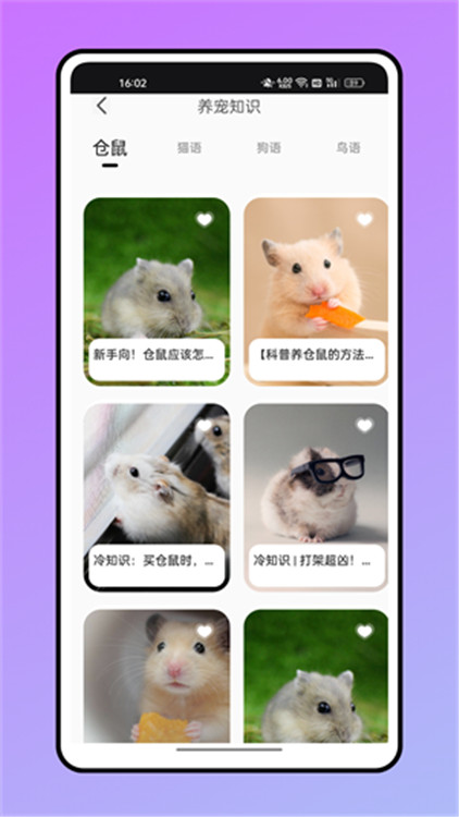 倉鼠翻譯器截圖2