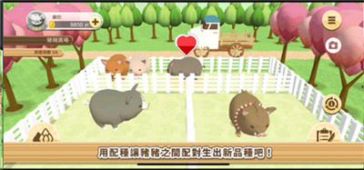 養(yǎng)豬場3D游戲截圖5