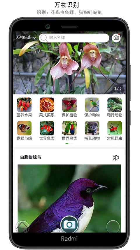 萬物識別截圖1