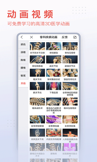 3DBody解剖軟件截圖8