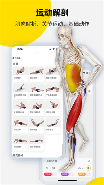 3DBody解剖軟件