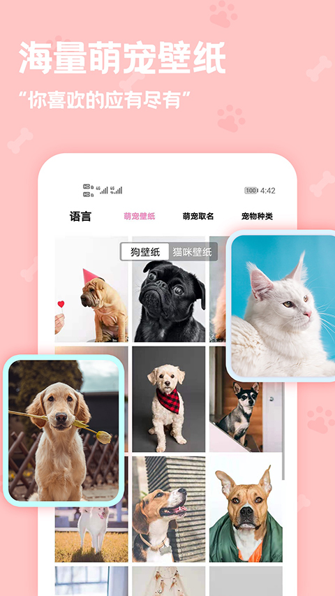 動物語言翻譯器app截圖7