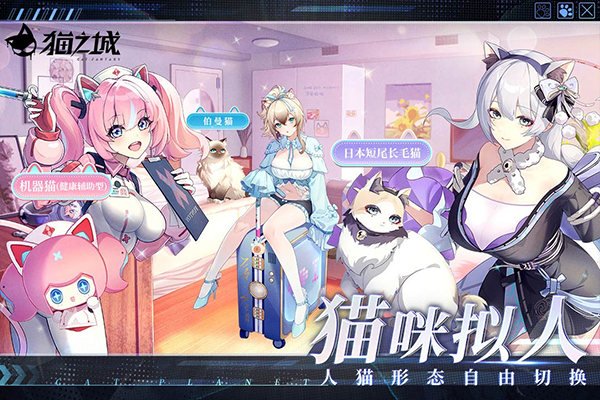 貓之城中文版截圖3