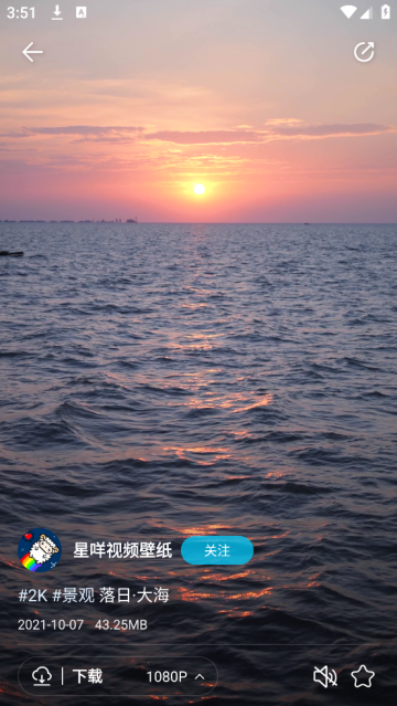 星咩视频壁纸