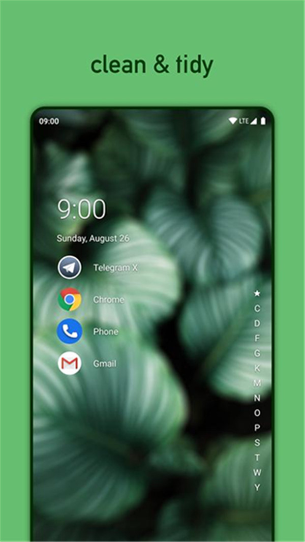 Niagara Launcher截图3: