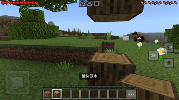 Minecraft國際版