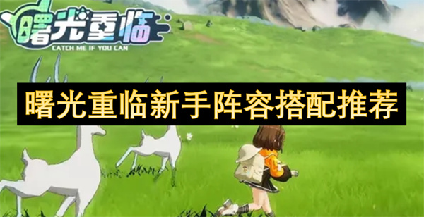 曙光重臨新手陣容搭配推薦