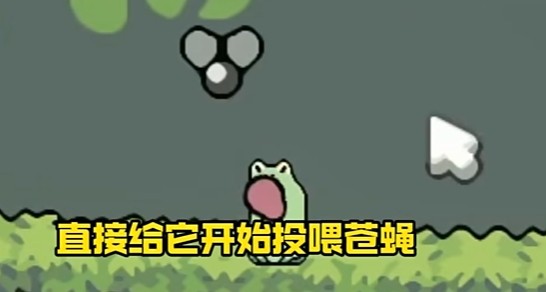 蛙蛙養(yǎng)殖場中文版