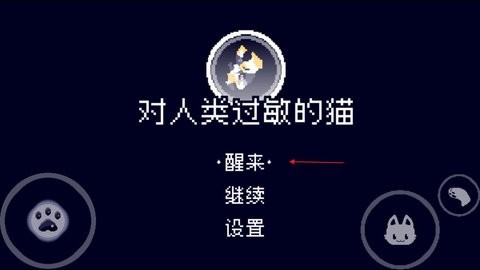 對人類過敏的貓游戲
