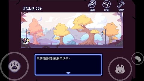 對人類過敏的貓
