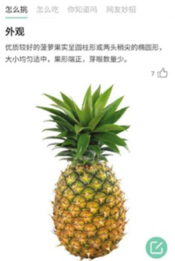 果蔬百科