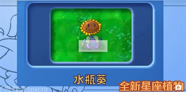 植物大戰(zhàn)僵尸星座版