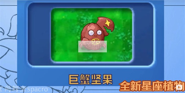植物大戰(zhàn)僵尸星座版