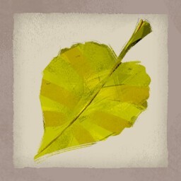 游俠網(wǎng)15