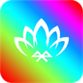 幻彩宝莲灯