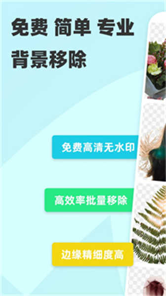 椰子背景截圖2