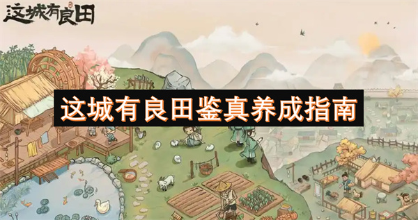 這城有良田鑒真養(yǎng)成指南