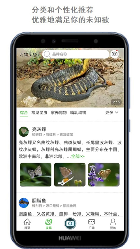 萬物識別