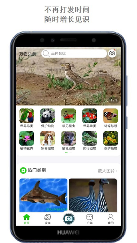 萬物識別