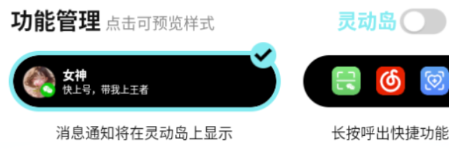 靈動皮膚小組件