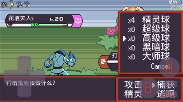 寶可夢(mèng)肉鴿
