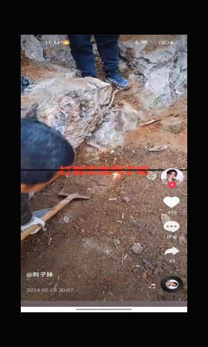 藍(lán)天鷹短視頻截圖1