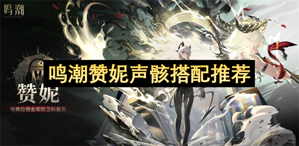 鸣潮赞妮声骸搭配推荐