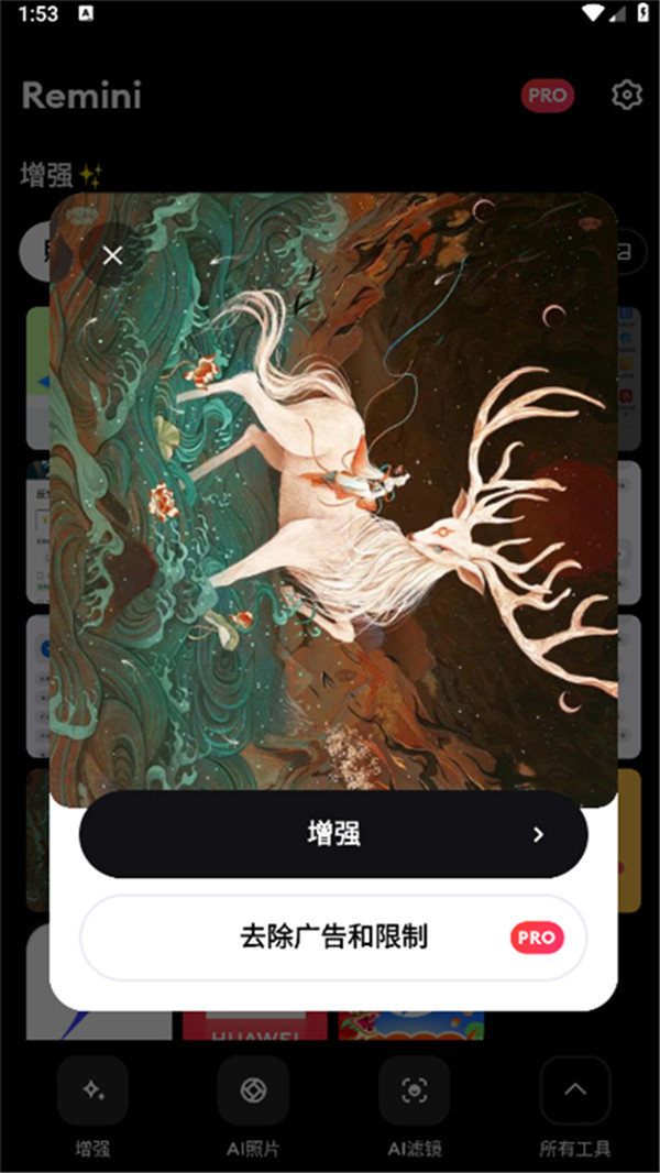 Remini漢化版截圖3