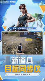 藍龍美化包