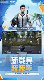 藍龍美化包