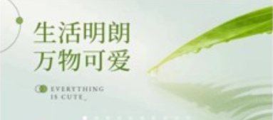 碳收俠