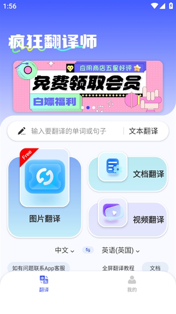 瘋狂翻譯師