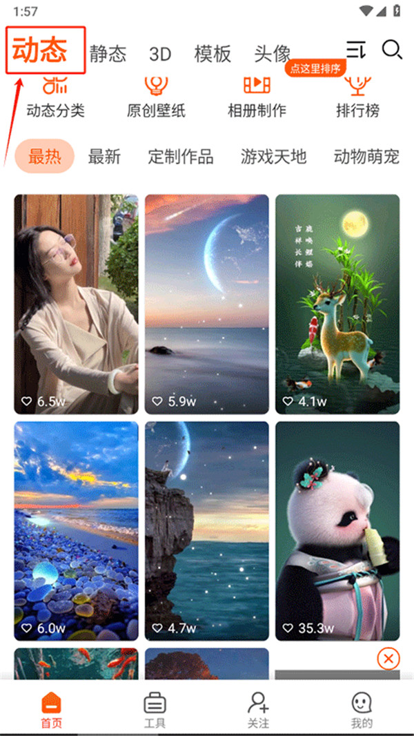 壁紙精靈app