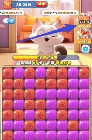 貓咪公社