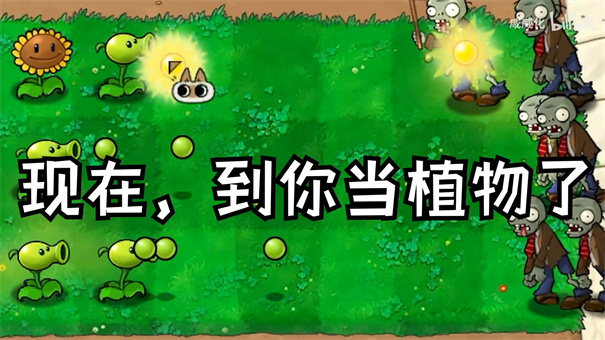 植物大戰(zhàn)僵尸繁瑣版截圖1