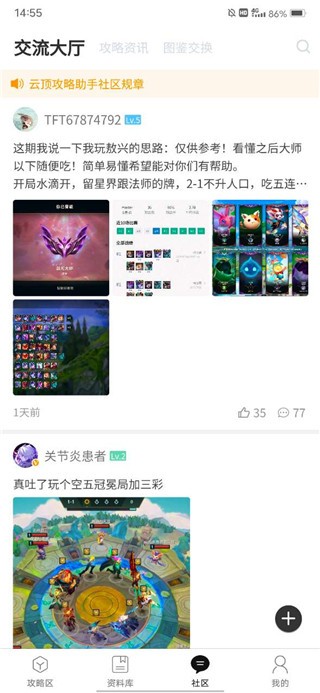 tft云頂之弈助手