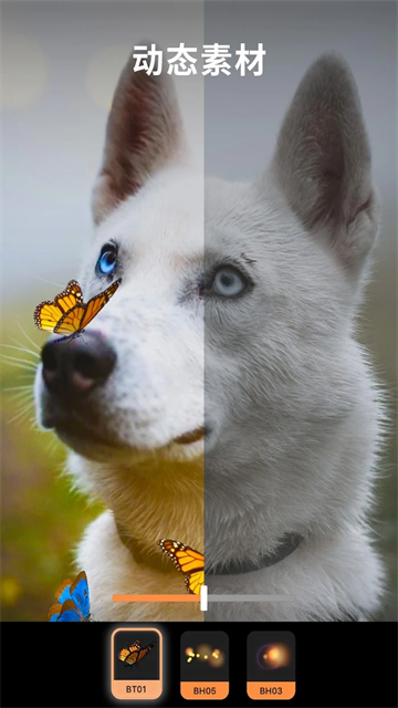Pixaloop截圖5