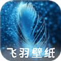 飛羽壁紙