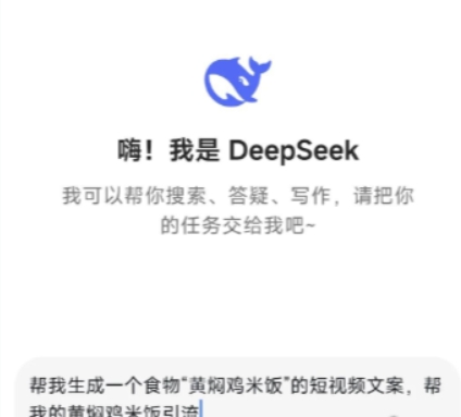 深度求索DeepSeek