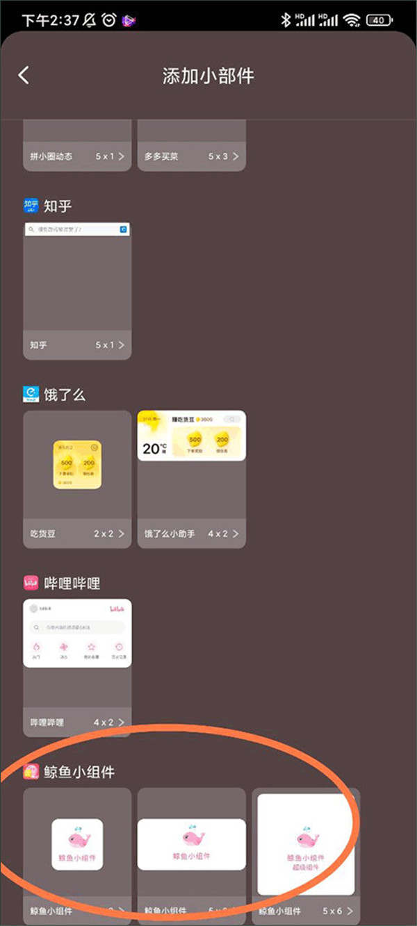 Whale Widget